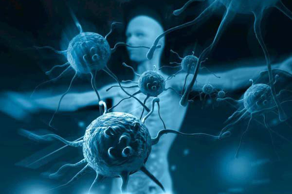 Những điều ai cũng cần biết về vai trò của hệ miễn dịch