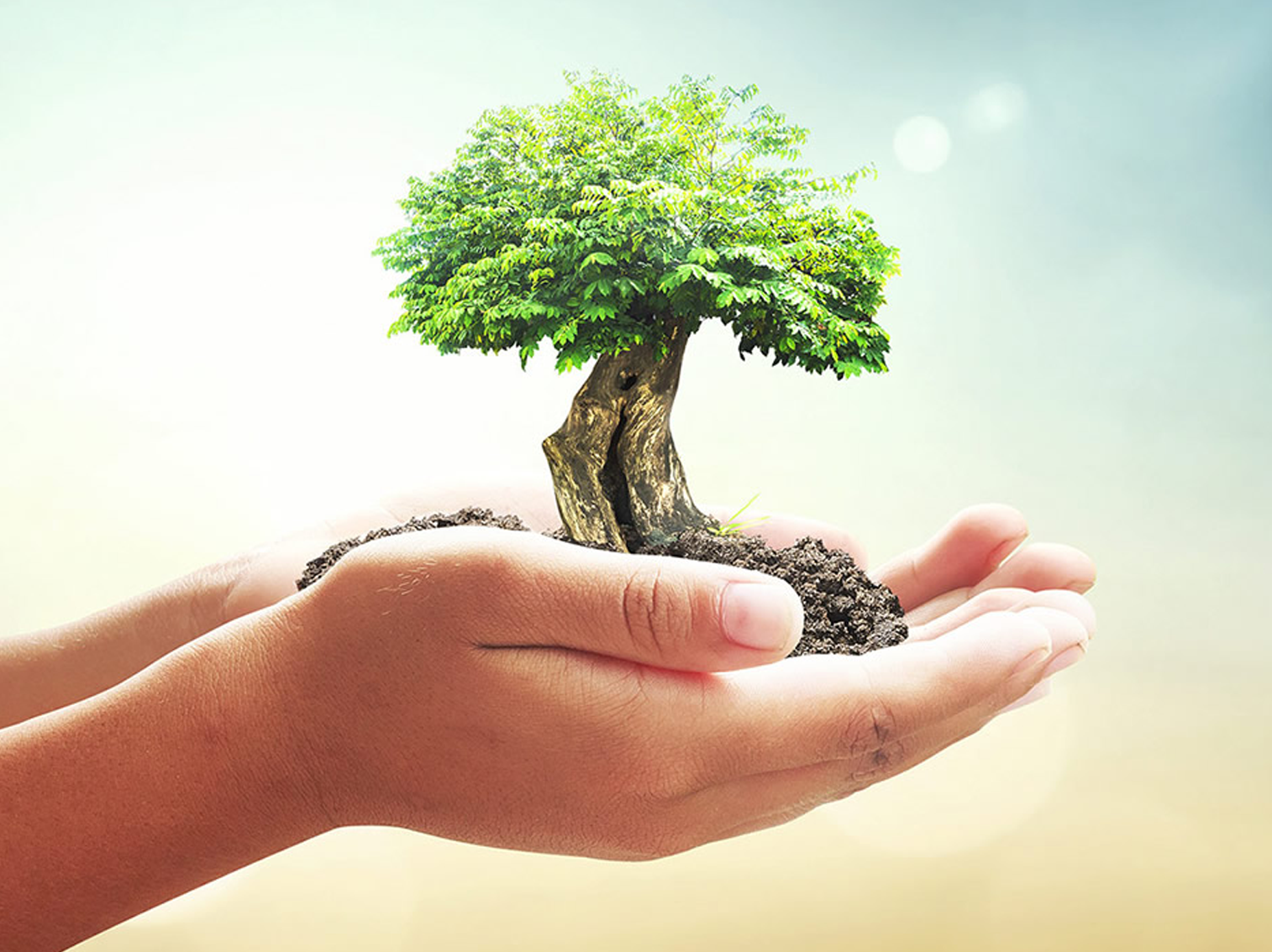 Giá trị cốt lõi